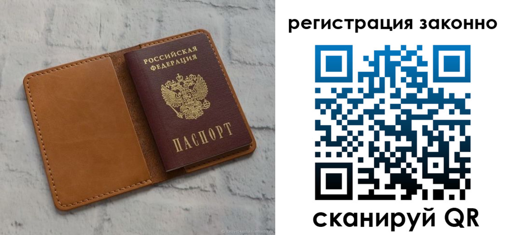 где прописаться в Ярославской области